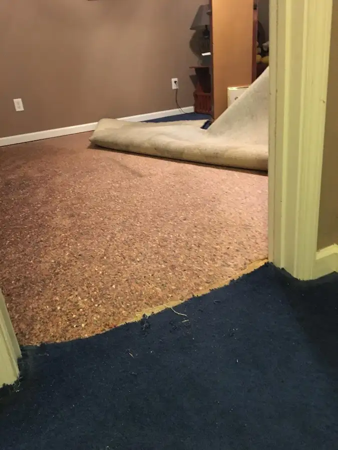 Carpet pad removal revealing water damage during Drying & Dehumidification in Portage