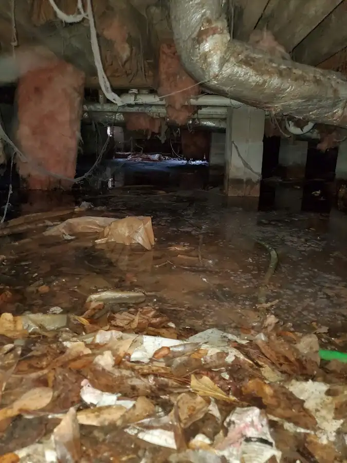 Crawl space flood assessment for Leak Detection & Repair in Portage